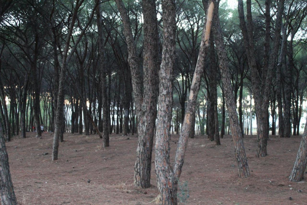 Park Hotel Le Dune Di Giovino Катандзаро Экстерьер фото